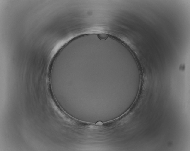 X0000113111469200909111104