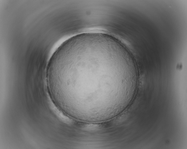 X0000113111470200909111104