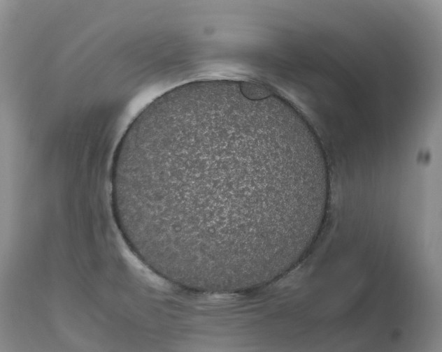 X0000113111471200909111104