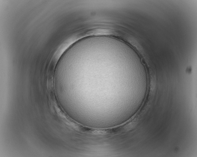 X0000113111473200909111104