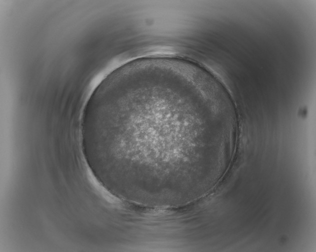 X0000113111475200909111104