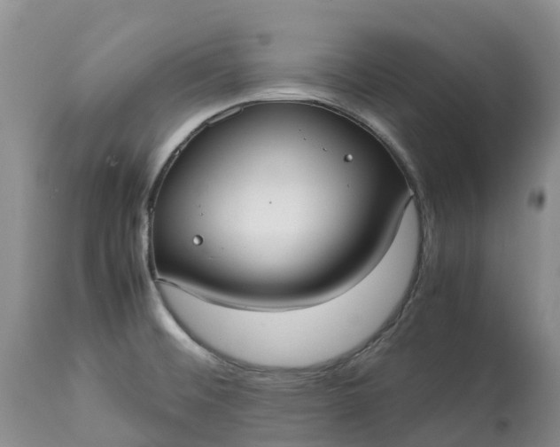 X0000113111476200909111104
