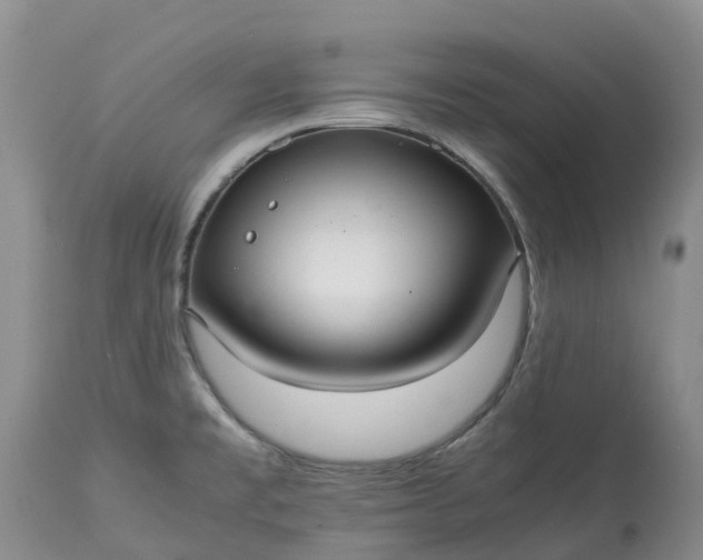 X0000113111477200909111104