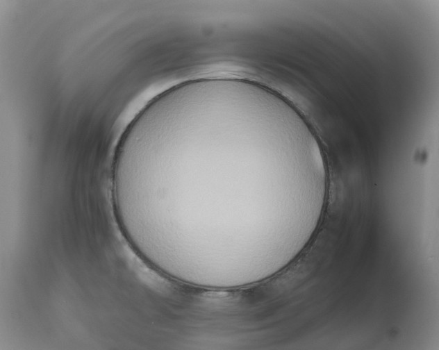 X0000113111478200909111104
