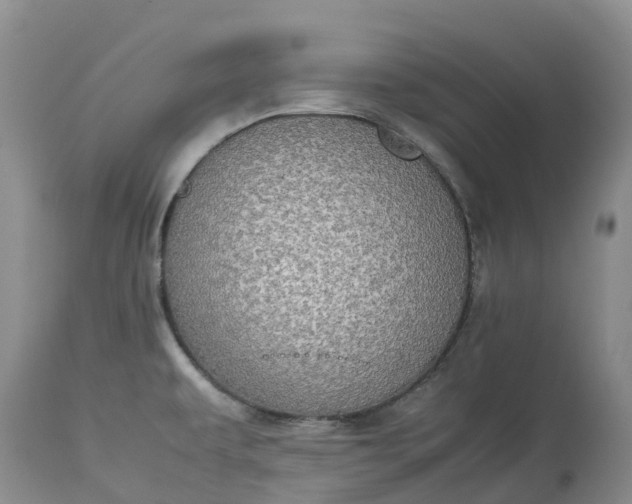 X0000113111479200909111104