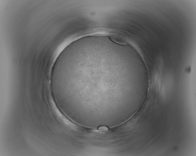 X0000113111483200909111104