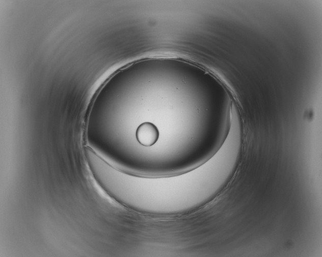 X0000113111484200909111104