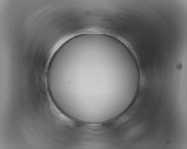 X0000113111486200909111104