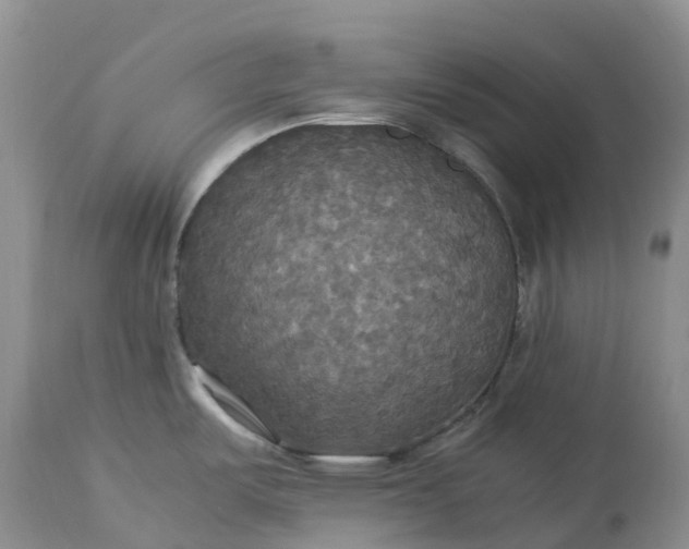 X0000113111487200909111104
