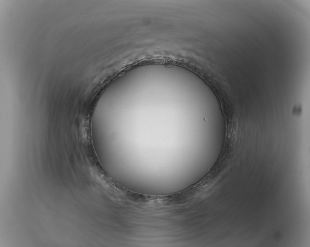 X0000113111490200909111103