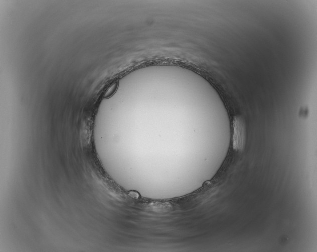 X0000113111491200909111103