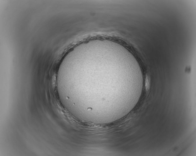 X0000113111492200909111103