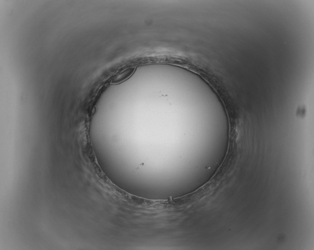 X0000113111493200909111103