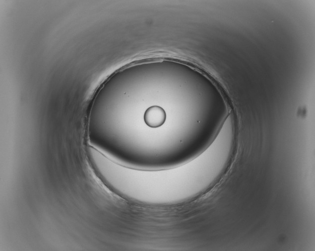 X0000113111500200909111103