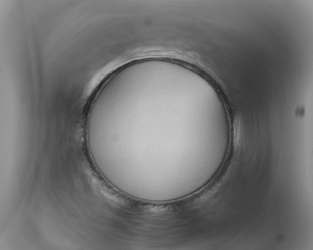 X0000113111501200909111103