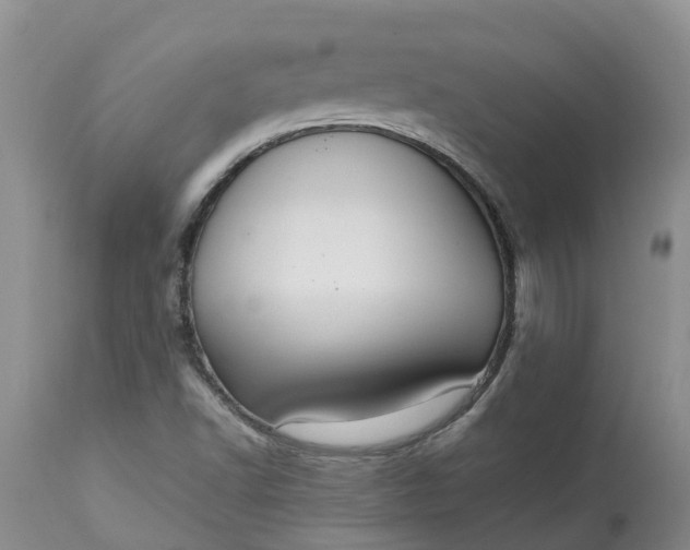 X0000113111502200909111103