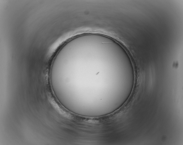 X0000113111503200909111103