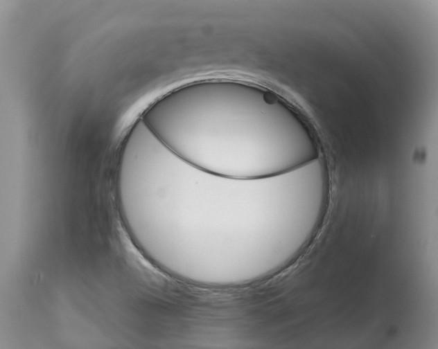 X0000113111504200909111103
