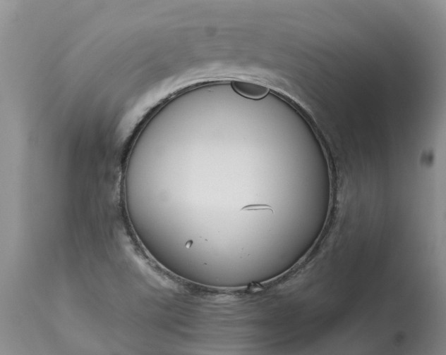 X0000113111507200909111103