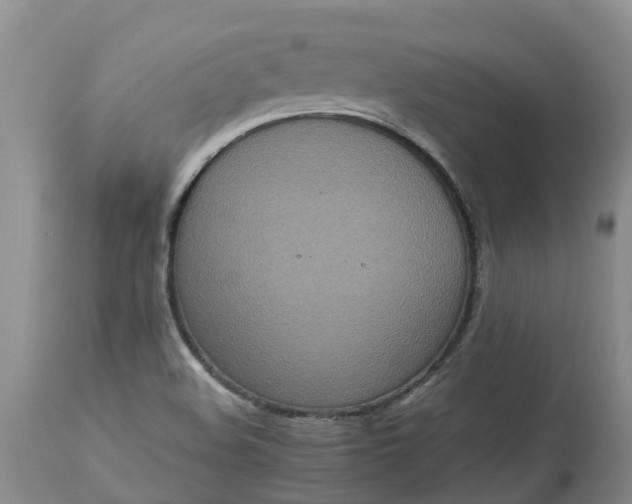 X0000113111508200909111103