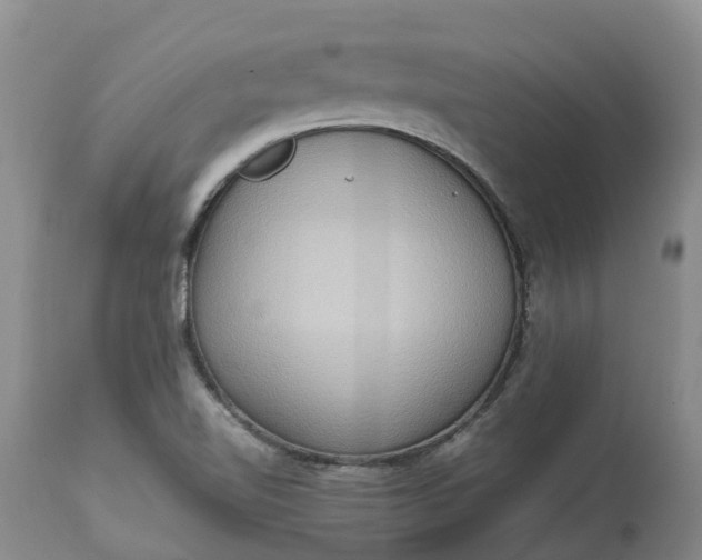 X0000113111510200909111103