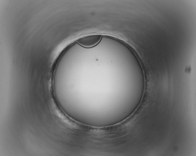 X0000113111511200909111103