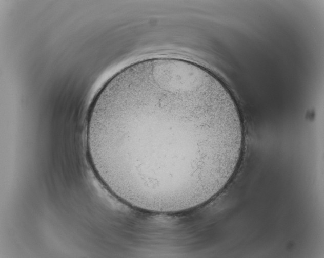 X0000113111514200909111103
