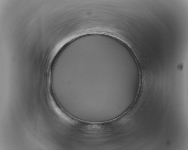 X0000113111515200909111103