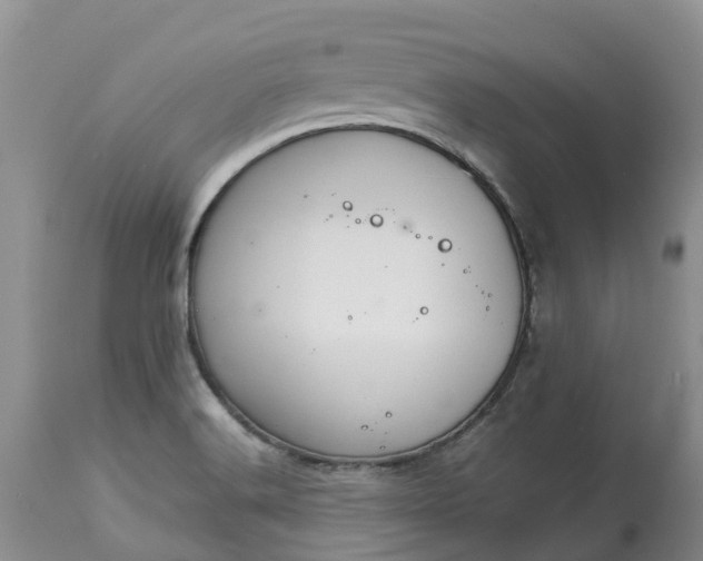 X0000113111516200909111103