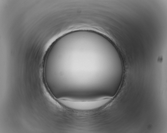 X0000113111518200909111103