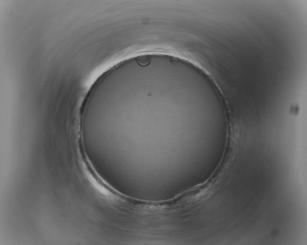 X0000113111519200909111103