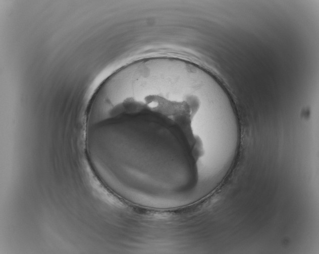 X0000113111522200909111104