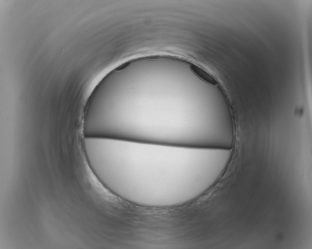 X0000113111524200909111104