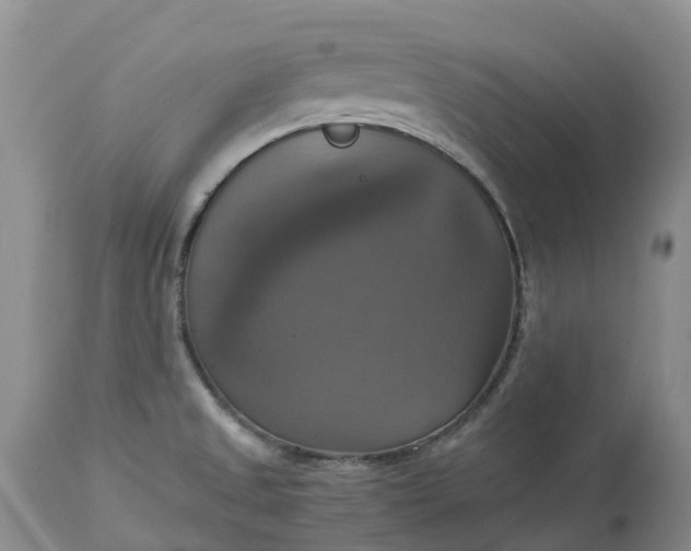 X0000113111525200909111104