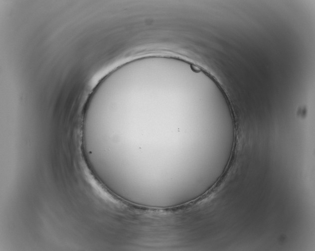 X0000113111526200909111104