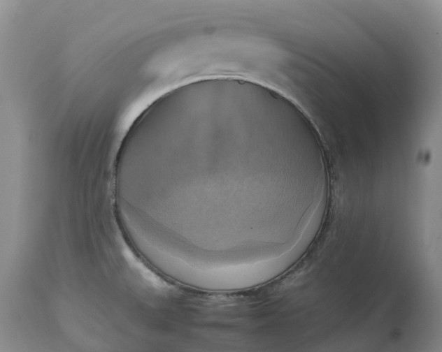 X0000113111527200909111104