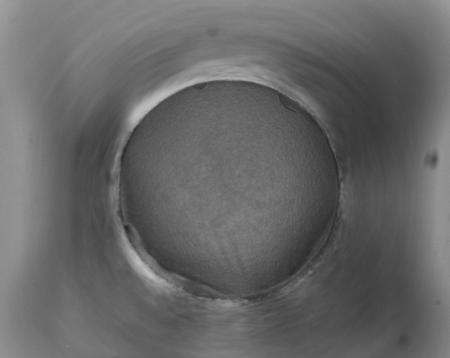 X0000113111528200909111104