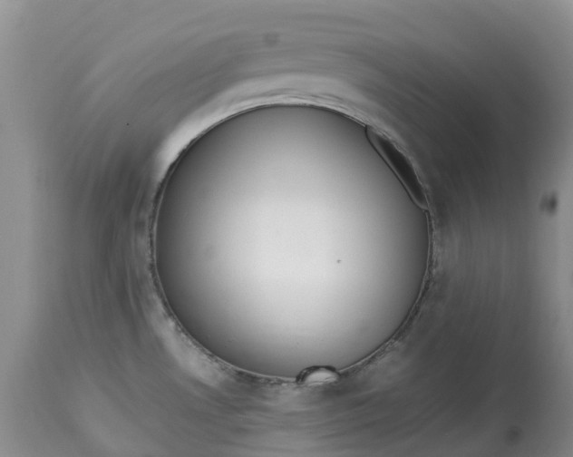 X0000113111530200909111104