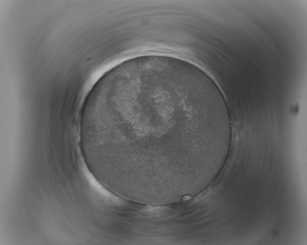 X0000113111531200909111104