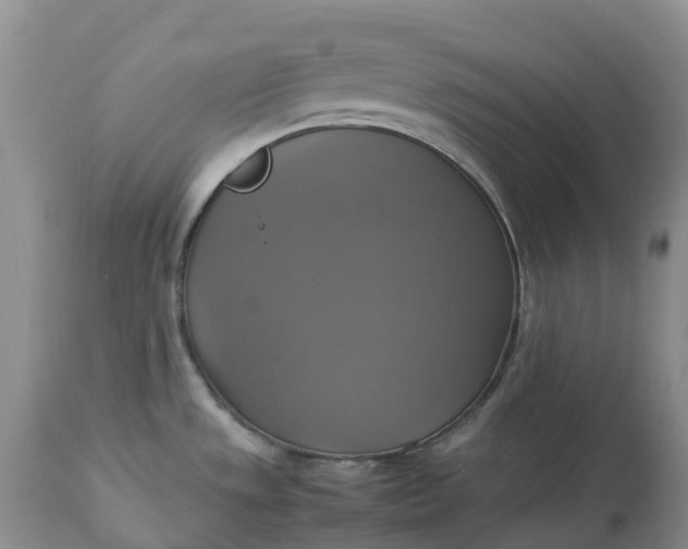 X0000113111533200909111104