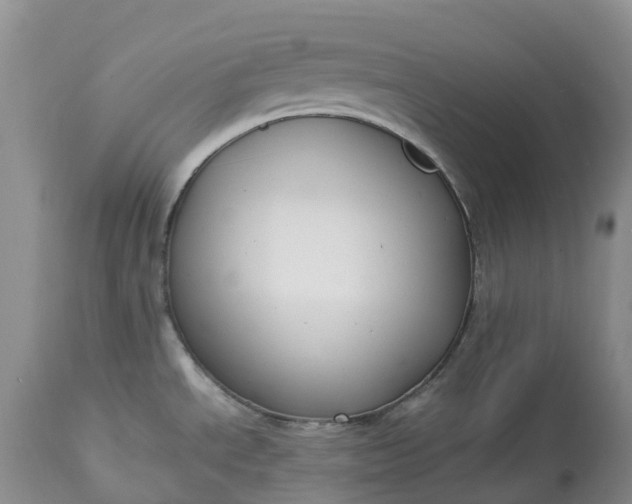 X0000113111534200909111104