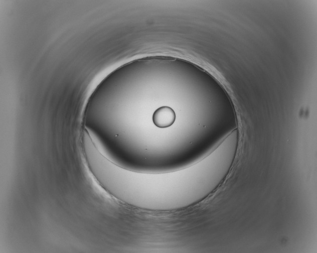 X0000113111536200909111104