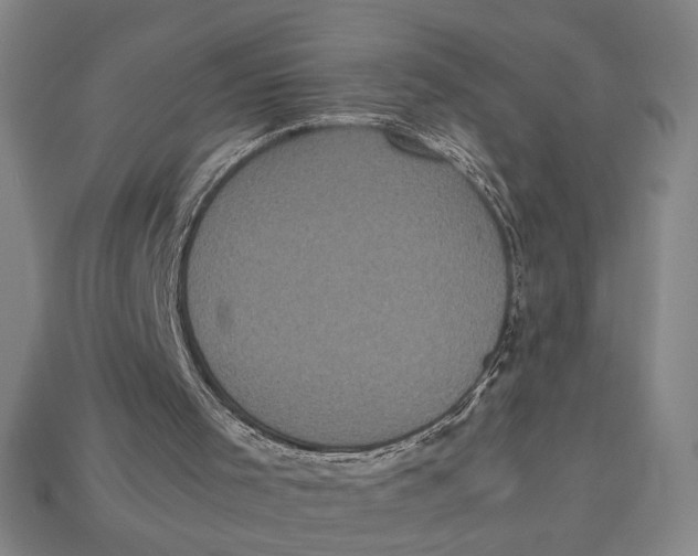X0000113110001200909181638