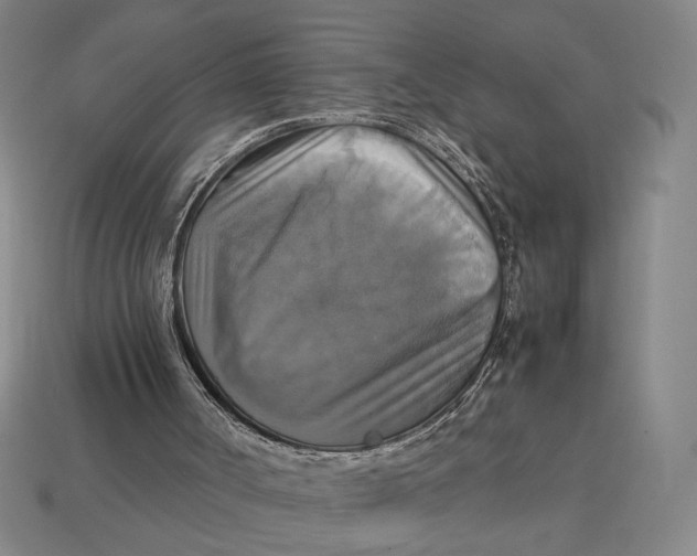 X0000113110002200909181638