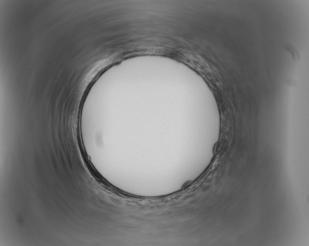X0000113110003200909181638