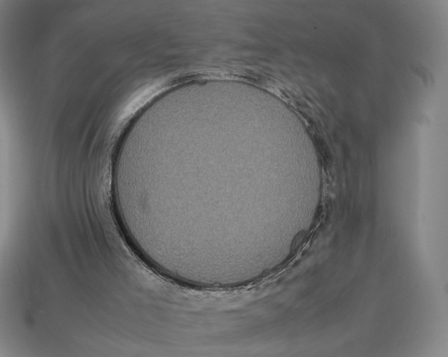 X0000113110005200909181638