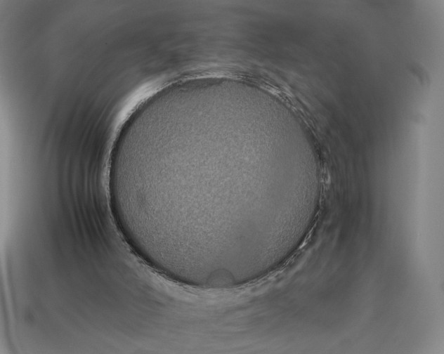 X0000113110006200909181638