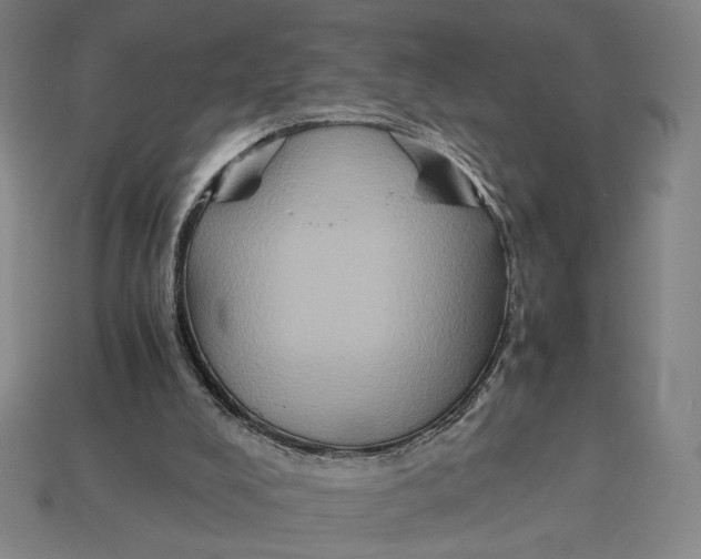 X0000113110008200909181638