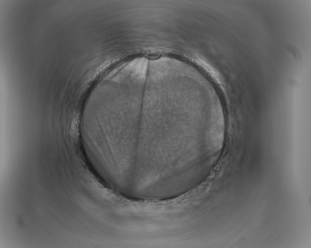 X0000113110009200909181638