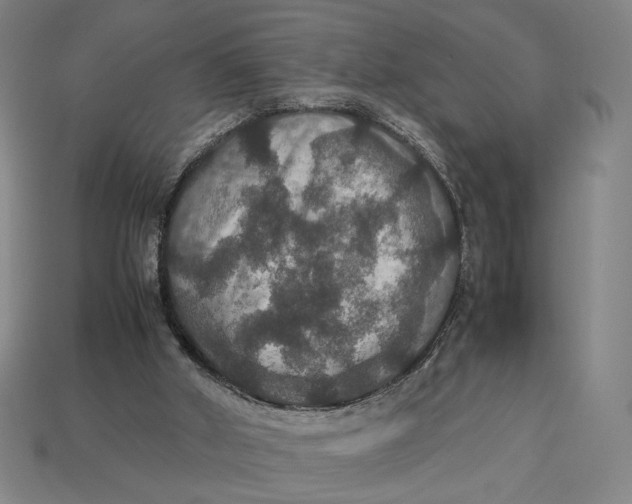 X0000113110010200909181638